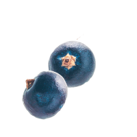 arándanos