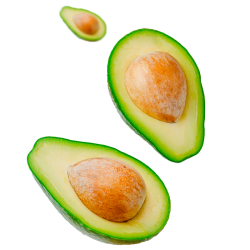 aguacates